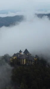 universal-thumbnail1